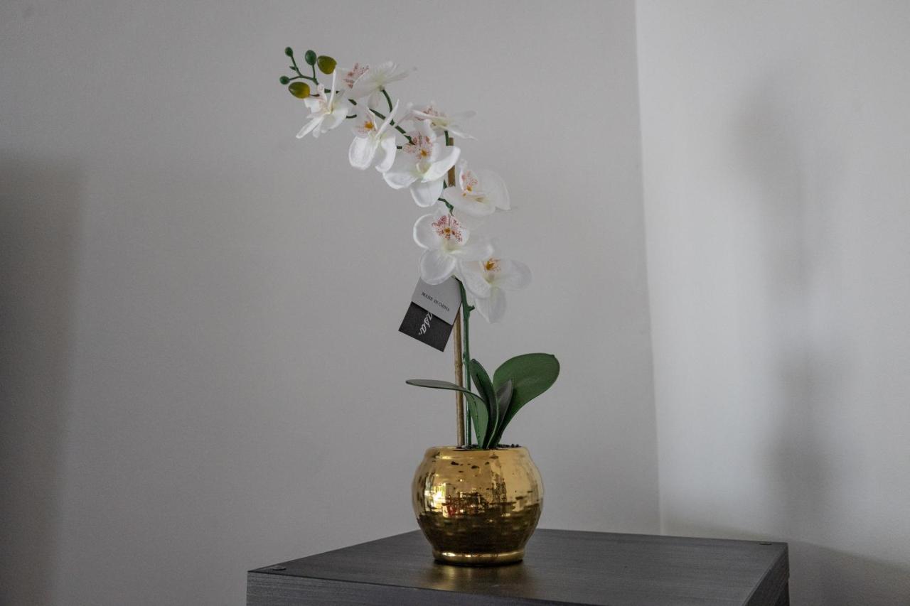 London - 4 Bed - Sleeps 8 - Garden - Pet Friendly Villa Eksteriør billede